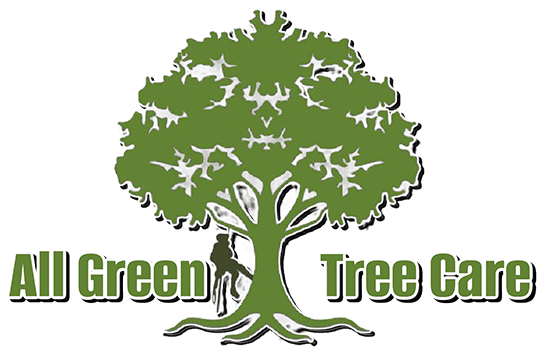 All Green Tree care & Removal Company High Point, NC