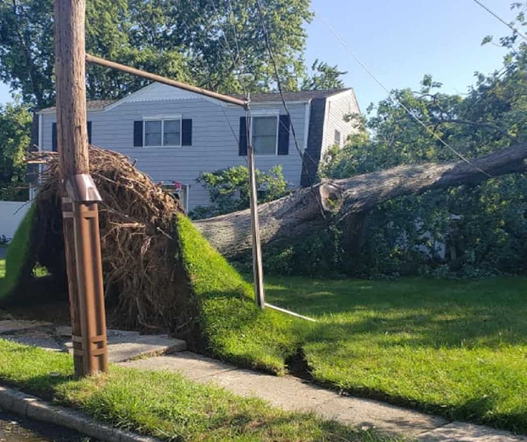 Emergency Storm Clean-Ups