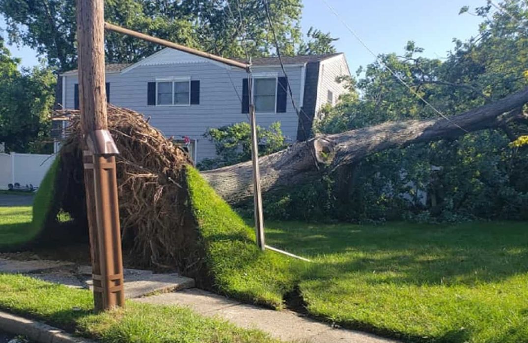 Emergency Storm Clean-Ups