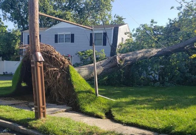 Emergency Storm Clean-Ups