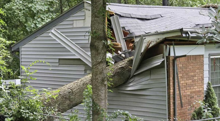 Emergency Storm Clean-Ups Services Emergency Storm Clean-Ups