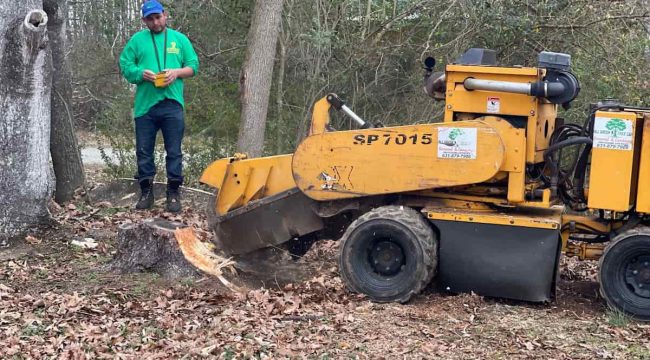 Stump Grinding Service