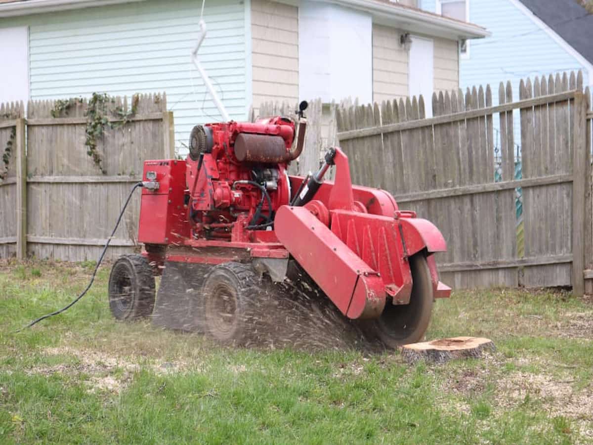 Stump Grinding