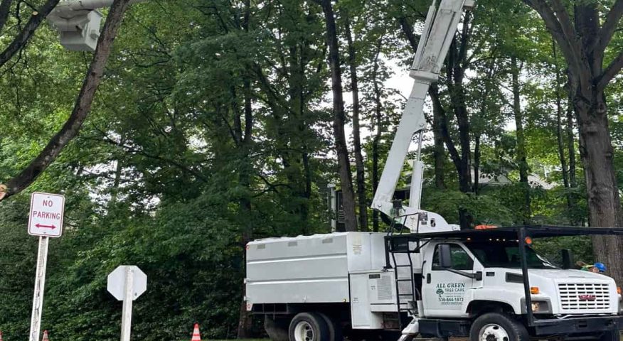 Commercial tree service Commercial Tree Services