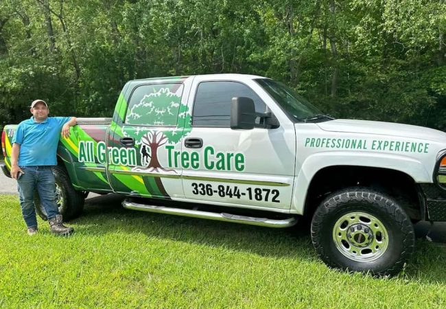 Tree Removal services High Point, NC Tree Removal services High Point, NC