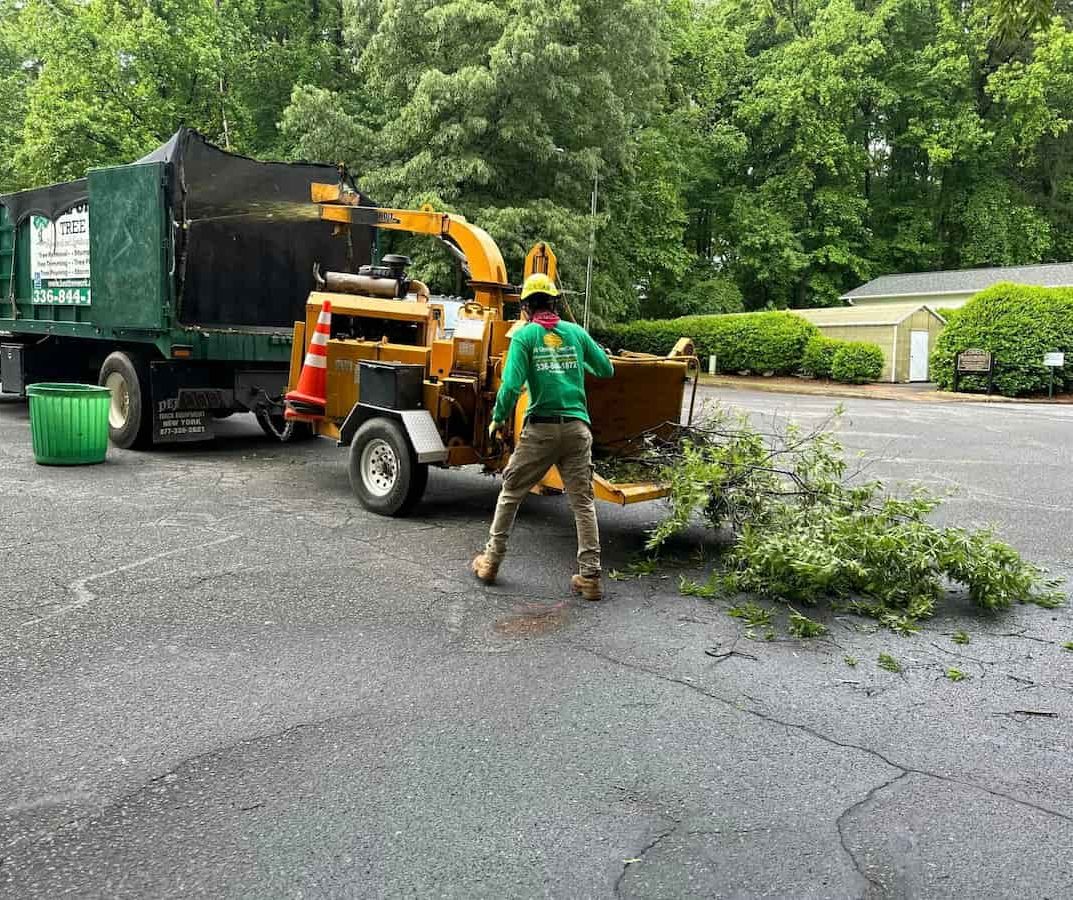 Wood Chipping & Disposal