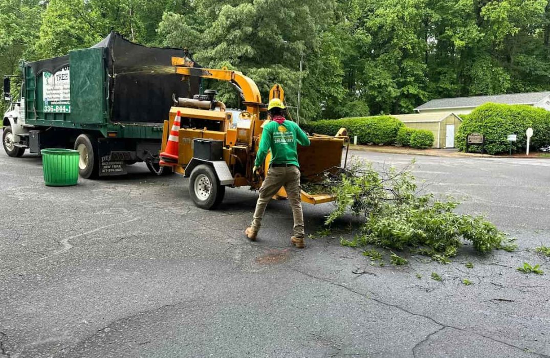 Wood Chipping & Disposal