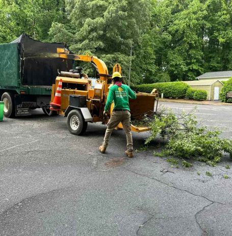 Wood Chipping & Disposal Wood Chipping & Disposal