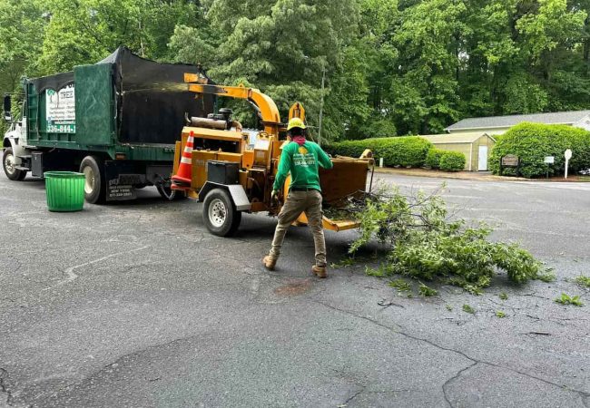 Wood Chipping & Disposal