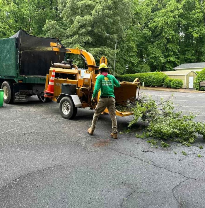Wood Chipping & Disposal