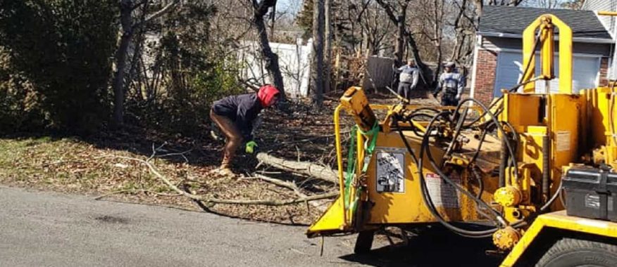 Wood Chipping & Disposal Service Wood Chipping & Disposal Service