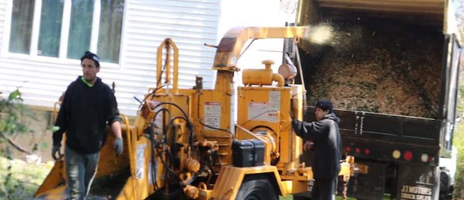 Wood Chipping & Disposal Services Wood Chipping & Disposal