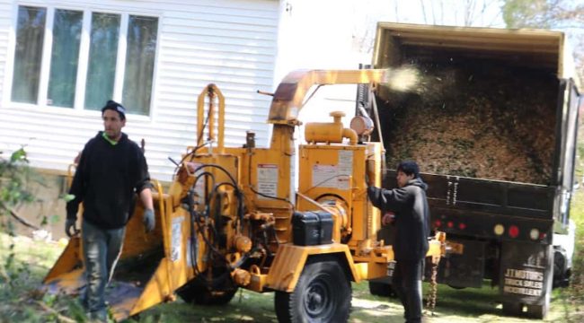 Wood Chipping & Disposal Services Wood Chipping & Disposal