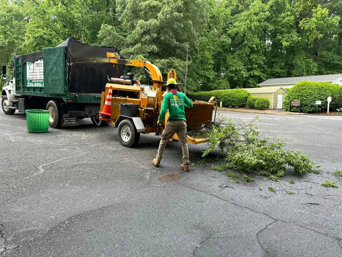 Wood Chipping & Disposal